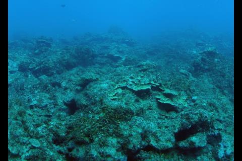 A desolate reef off the western coast of Guam that has been heavily impacted by sedimentation and overfishing. Credit David Burdick/Marine Photobank